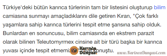 tele1.png