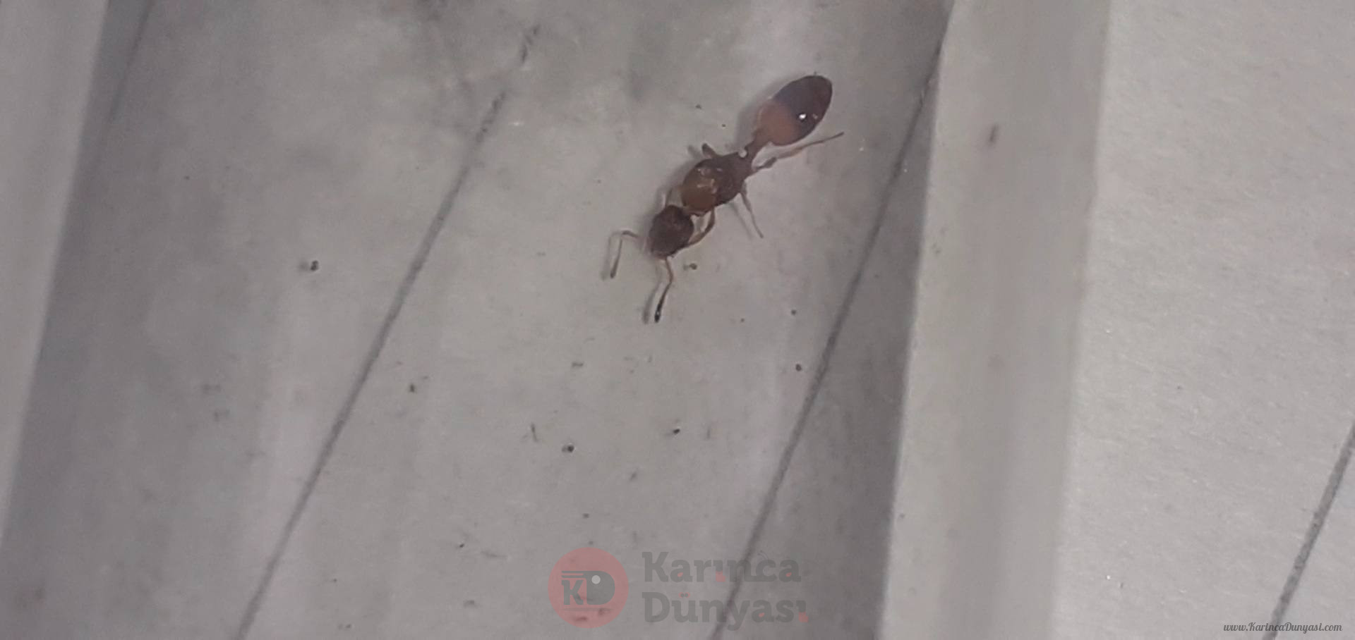 VideoCapture_20210423-162403.jpg