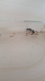 EDE9A354-277C-49E7-A95D-1D9B901B3086.jpeg