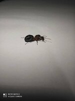 IMG_20200521_020034.jpg