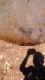 IMG-20200526-WA0004.jpeg