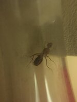 12303405-FDE4-486A-BE13-A6DA91B2E5EB.jpeg