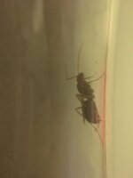 53437E6A-29E3-4D73-A97B-F278CB1F5216.jpeg