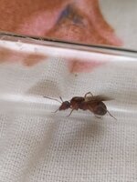 IMG_20200605_195531.jpg