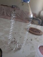 20200606_105006.jpg