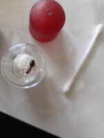 20200608_153026.jpg