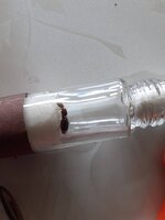 20200608_152909.jpg
