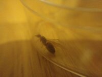IMG_20200610_234715.jpg