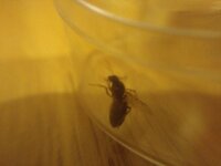 IMG_20200610_234717.jpg