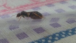 IMG_20200612_125053.jpg