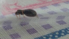IMG_20200612_125056.jpg