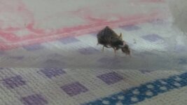 IMG_20200612_125141.jpg