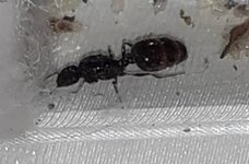20200613_141657.jpg