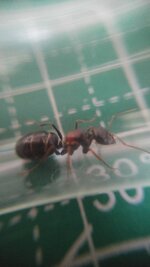 20200616_085457.jpg