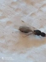 IMG_20200616_173535.jpg