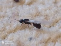 IMG_20200616_173715.jpg