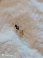 IMG_20200616_173911.jpg