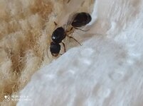IMG_20200616_174228.jpg