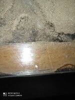 IMG_20200616_211220.jpg