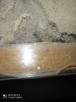 IMG_20200616_211218.jpg