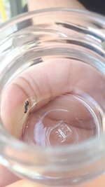 20200617_172858.jpg
