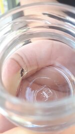 20200617_172855.jpg