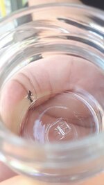 20200617_172851.jpg