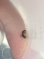 048D4F2A-B91E-4E50-865D-0CBE05DE3CA8.jpeg