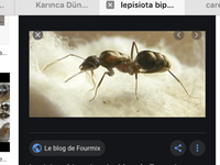 BB696126-B45D-487A-A422-41E80BF3F0A3.png