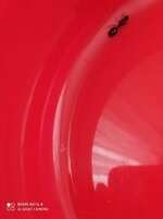 IMG_20200619_181812.jpg