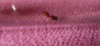 IMG_20200620_105343.jpg