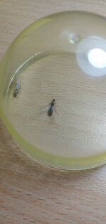 20200621_002347.jpg