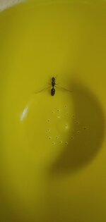 20200621_001008.jpg
