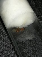 IMG_20210818_232044.jpg