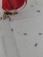 IMG_20210825_001746.jpg