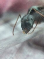 IMG_20210825_135143_835.jpg