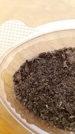 IMG-20210825-WA0061.jpg