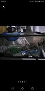 Screenshot_20210829-160631.jpg