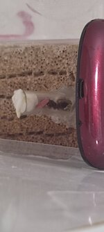 IMG_20210831_191129.jpg
