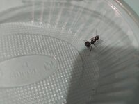 IMG_20210919_213657.jpg
