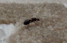 IMG_20211011_183429.jpg