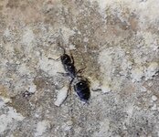 IMG_20211016_093304.jpg