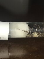 C480DA5E-3451-4BBA-A1E8-0C5392122B6E.jpeg