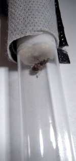 IMG_20220116_214515.jpg