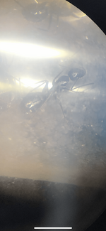 3EB25CD6-C705-43C9-8FA1-A688EADB2DC2.png