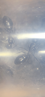 C16F4886-8B57-4991-B47A-0AB87484D554.png
