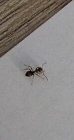 Snapchat-1643620200.jpg