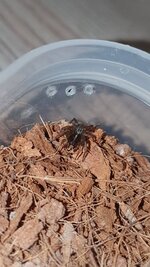 20220405_074713.jpg