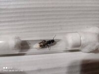 IMG_20220409_000813.jpg
