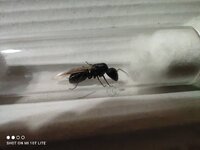 IMG_20220409_000852.jpg